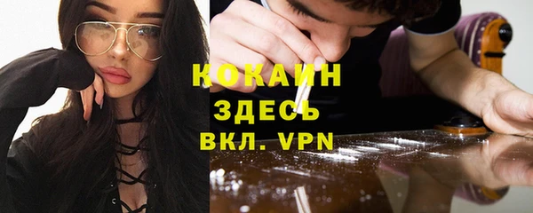 крисы Алзамай
