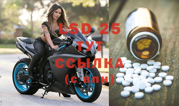 крисы Алзамай
