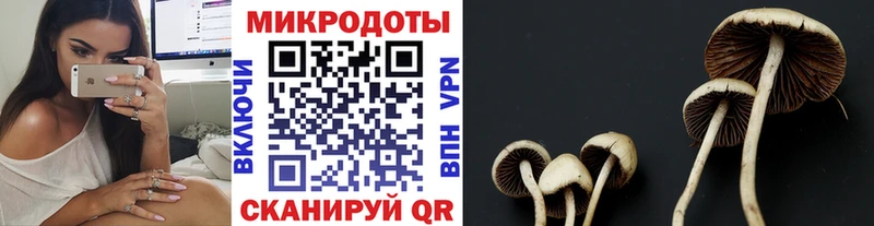 Галлюциногенные грибы мухоморы  мориарти наркотические препараты  Красноярск 