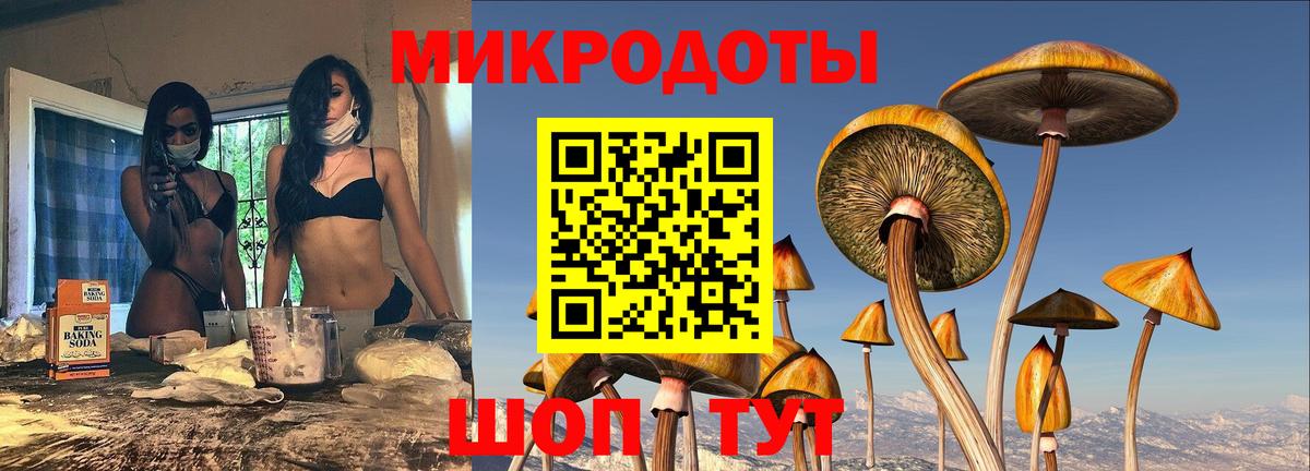 Галлюциногенные грибы мицелий Красноярск