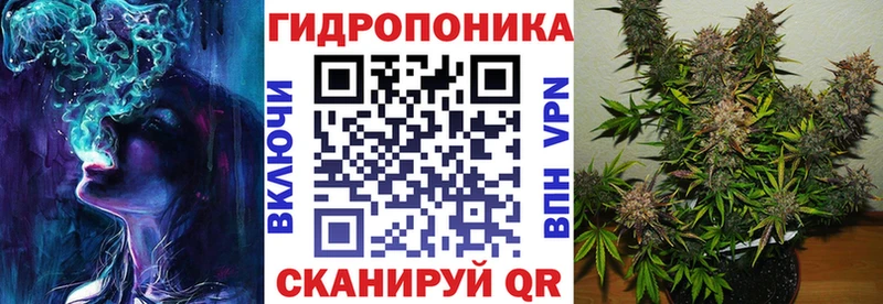 Каннабис OG Kush  купить  сайты  Красноярск 